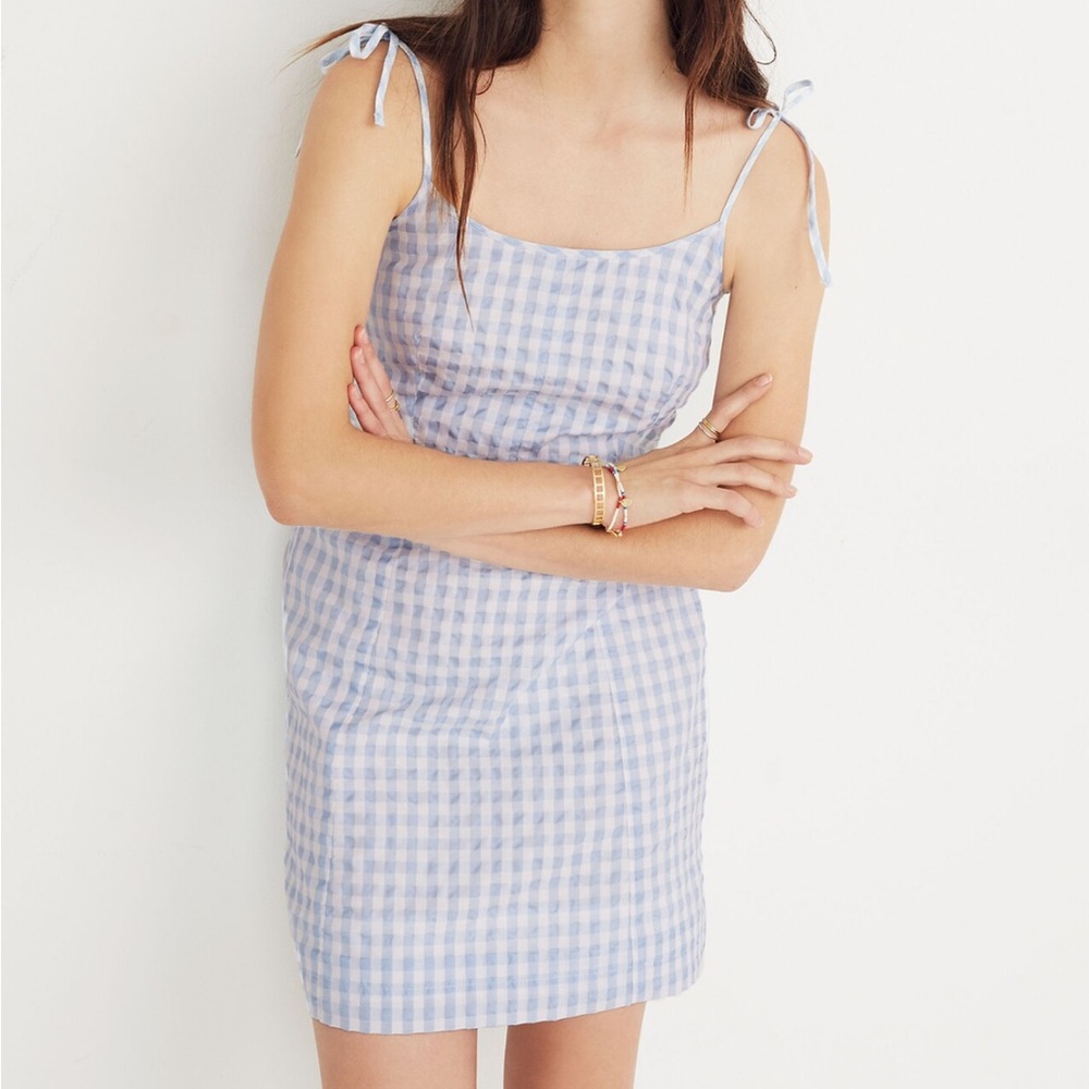 Madewell Blue Gingham Dress